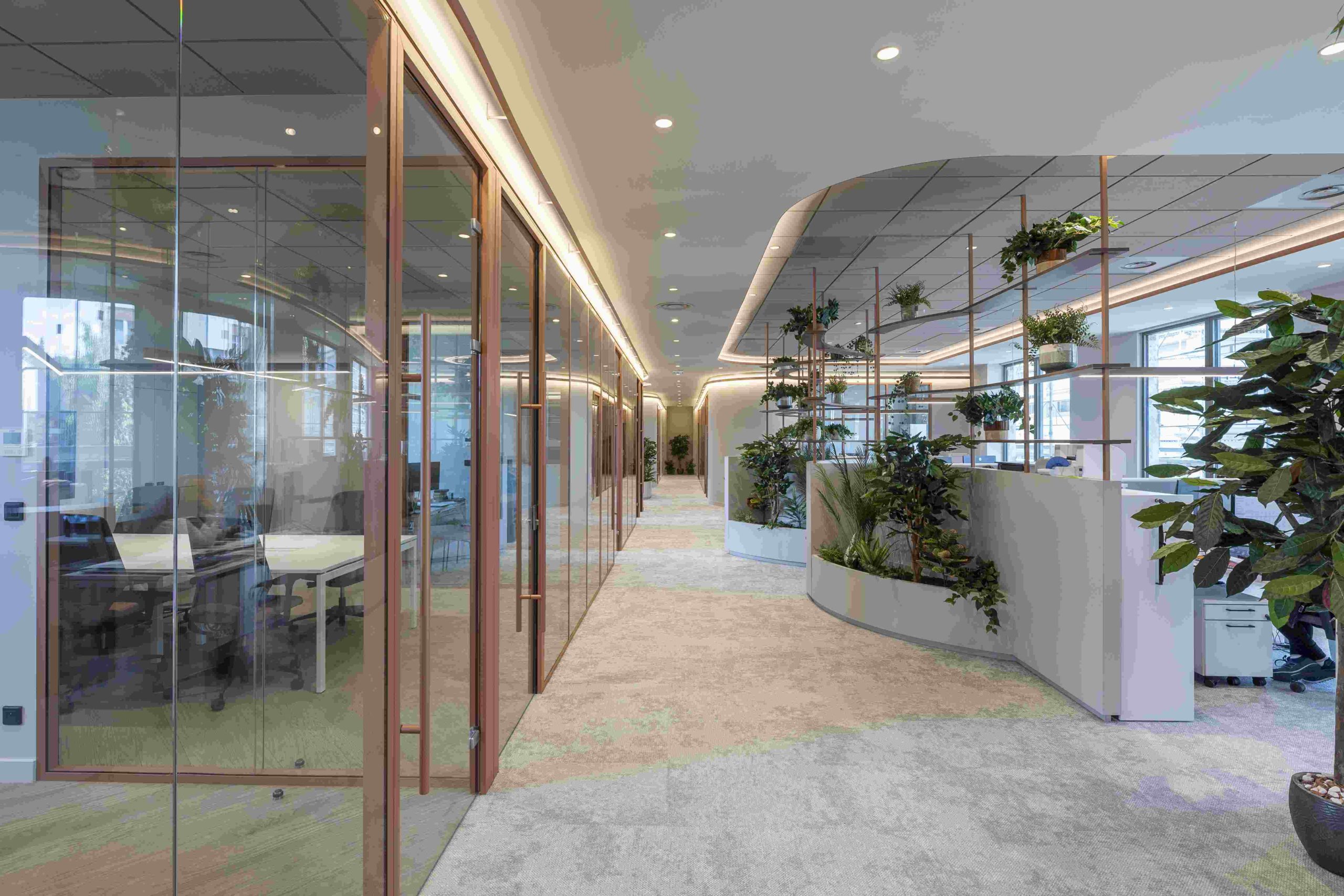 Aménagement de bureau à Lyon - Chocolaterie Voisin - Cloison de bureau Tiaso AZ 78mm